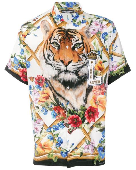 DOLCE&GABBANA Tiger.